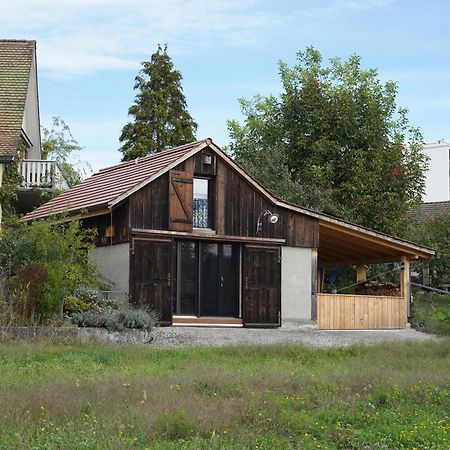 Tiny House Chez Claudine - Relaxen, Workspace, Naehe Thermen, Netflix, Free Parking & Wifi Brugg  Dış mekan fotoğraf