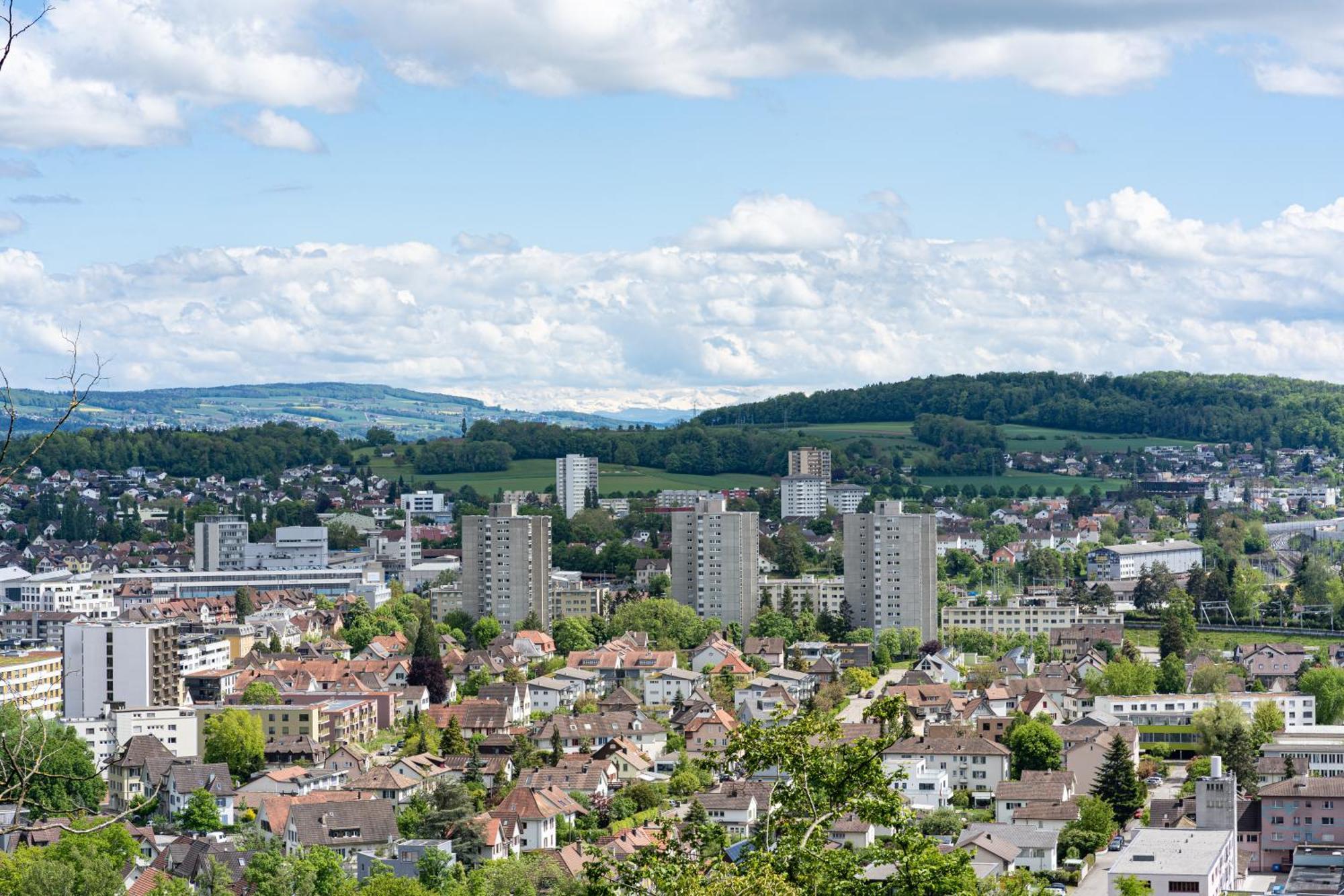 Tiny House Chez Claudine - Relaxen, Workspace, Naehe Thermen, Netflix, Free Parking & Wifi Brugg  Dış mekan fotoğraf