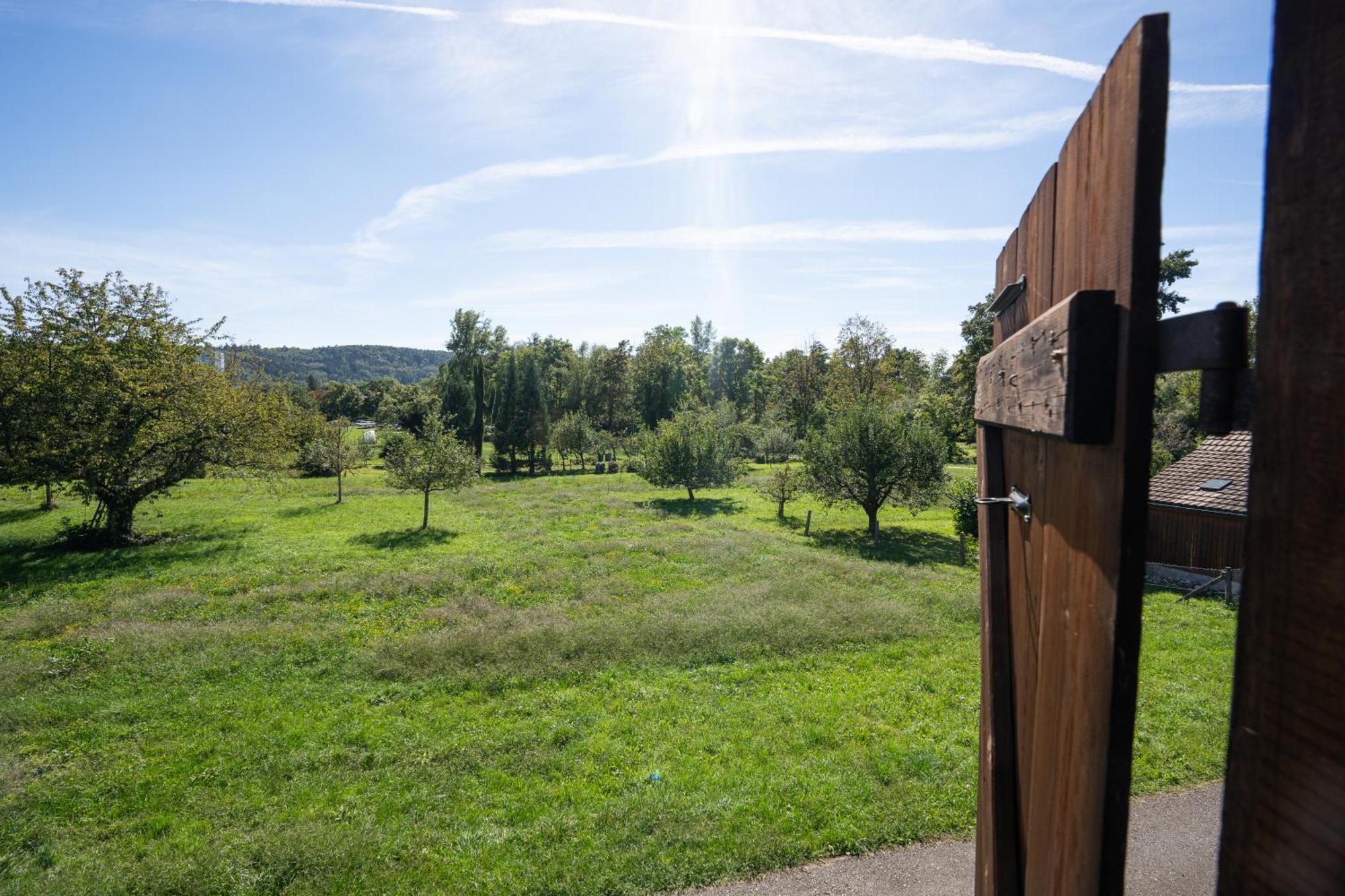 Tiny House Chez Claudine - Relaxen, Workspace, Naehe Thermen, Netflix, Free Parking & Wifi Brugg  Dış mekan fotoğraf